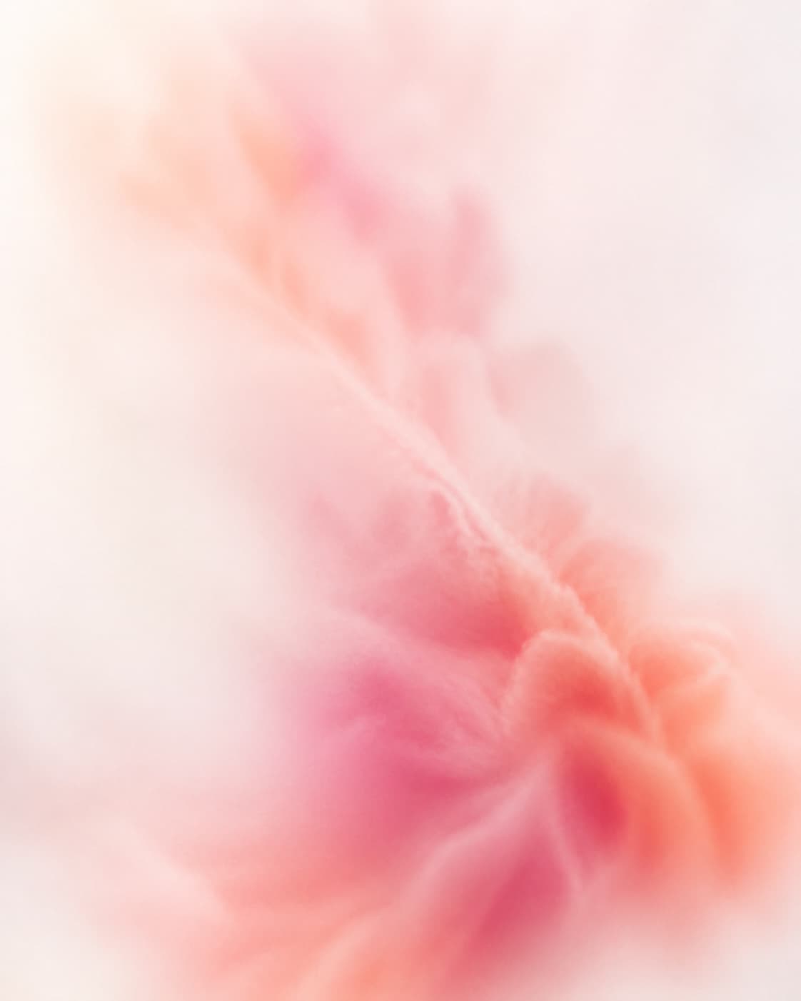 Univers visuel Marketing de Boost Agency